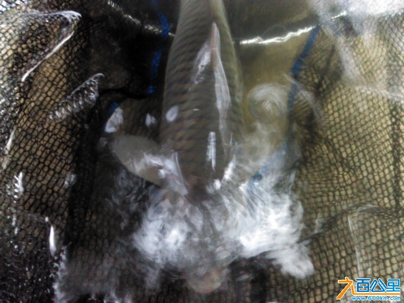 Camera_20130611_101044.jpg