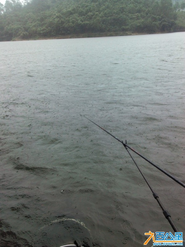 Camera_20130611_151737.jpg