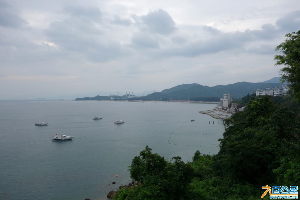 DSC00109-1.jpg