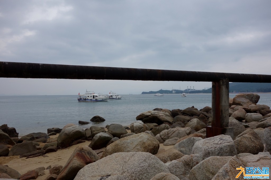 DSC00146-1.jpg