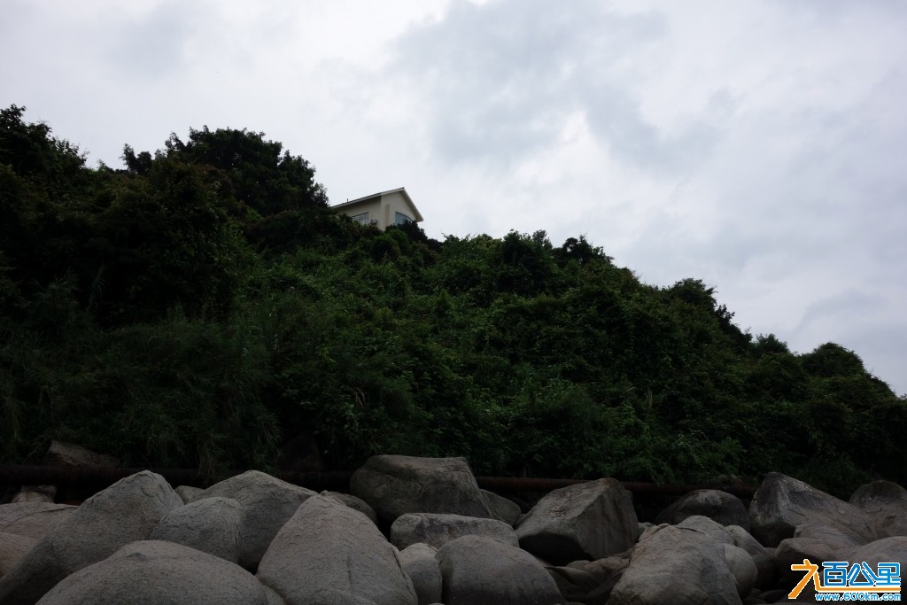 DSC00175-1.jpg