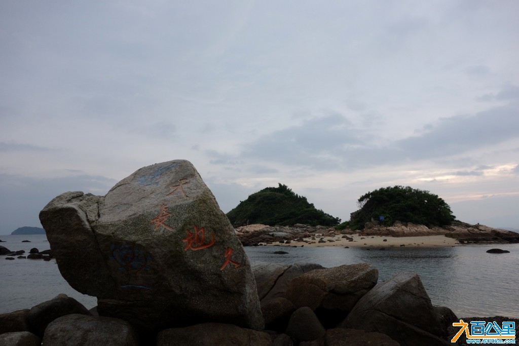 DSC00197-1.jpg