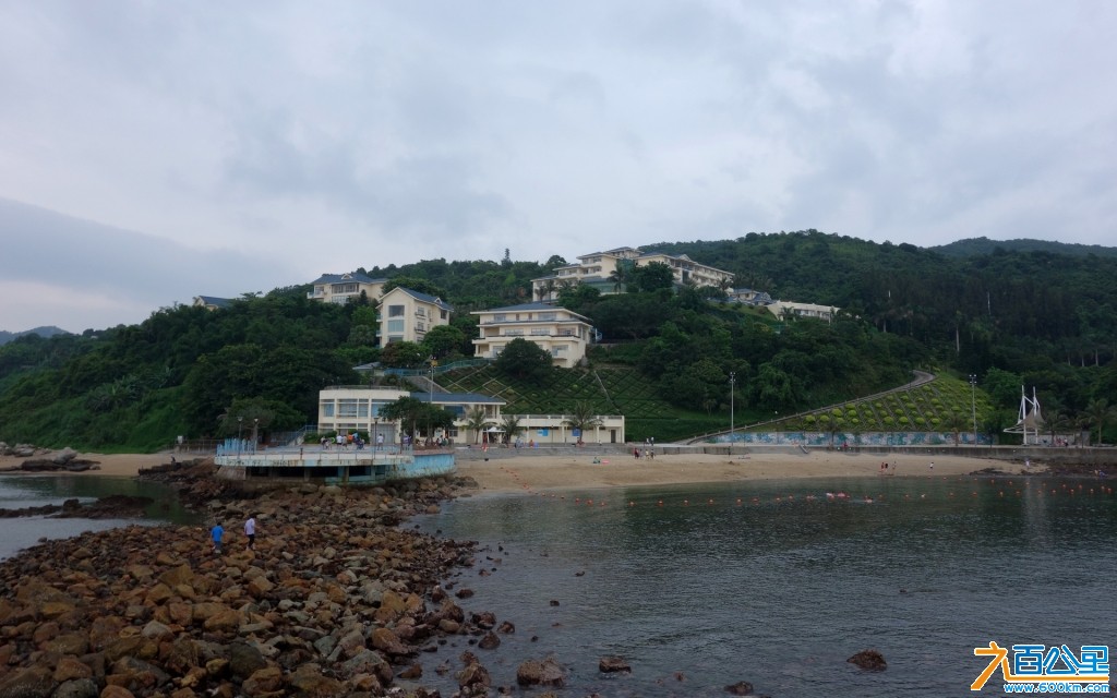 DSC00232-1.jpg