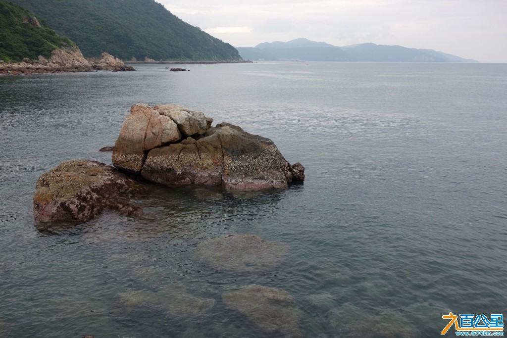 DSC00237-1.jpg