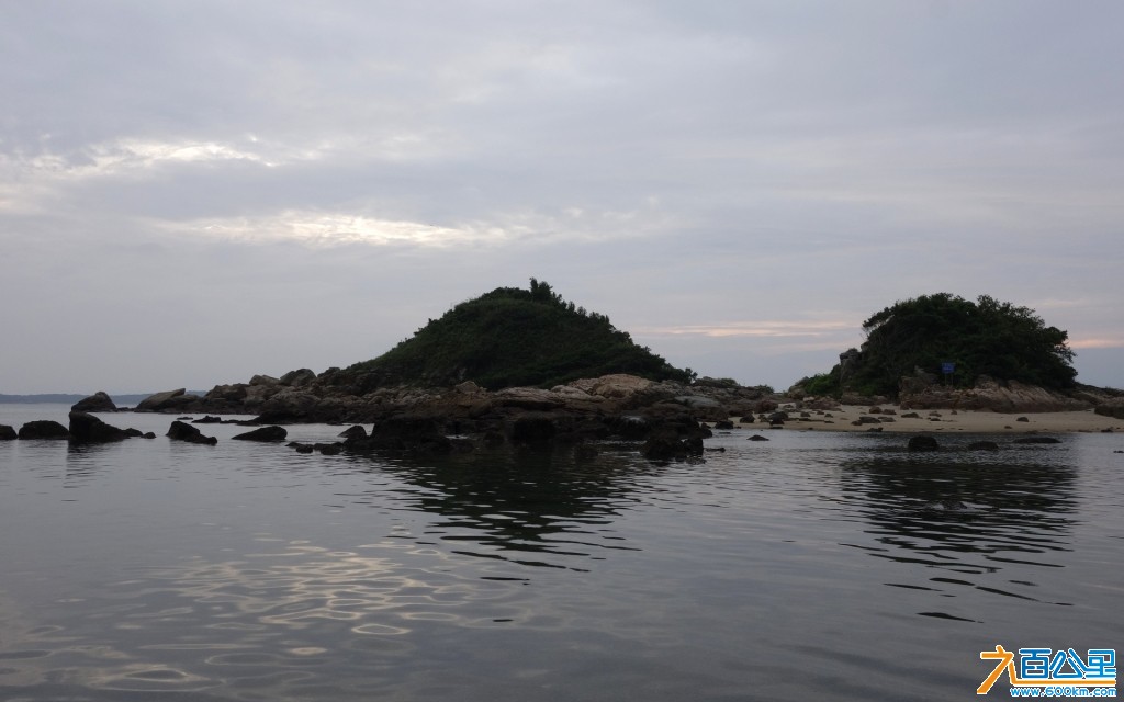 DSC0259-1.jpg