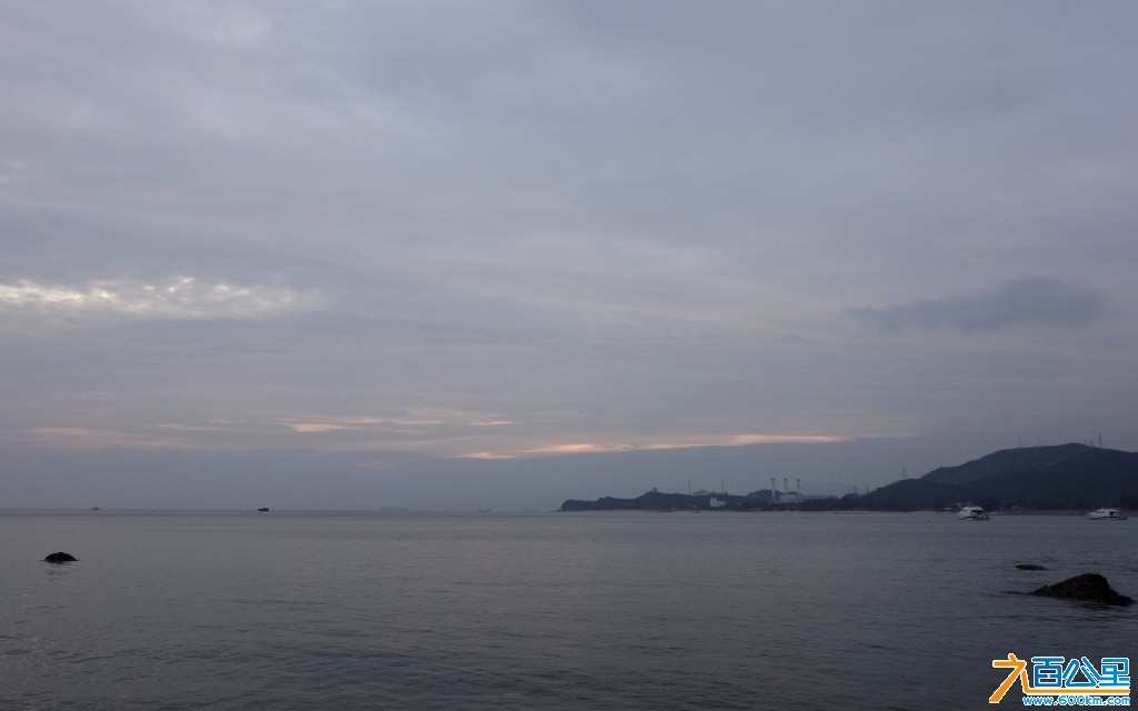 DSC0266-1.jpg