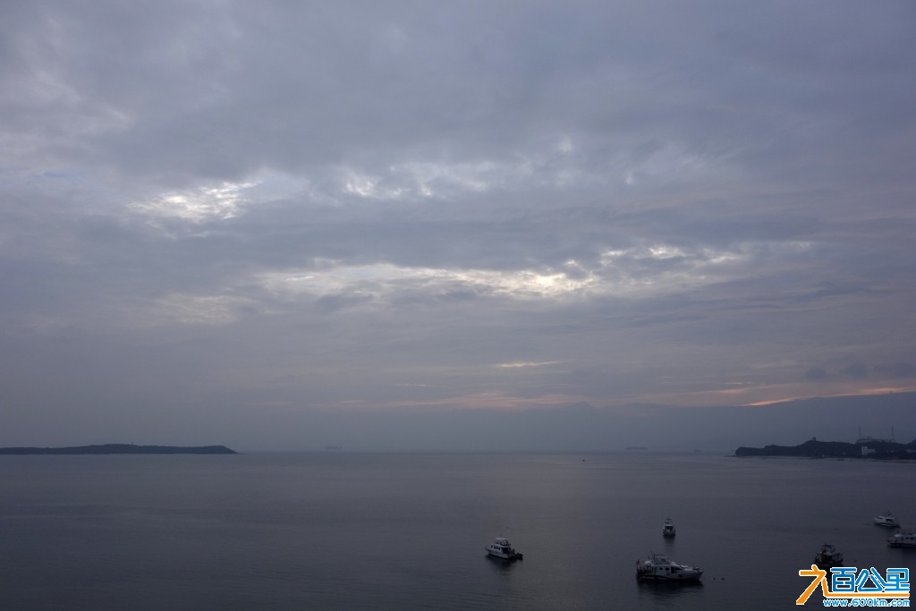 DSC0278-1.jpg