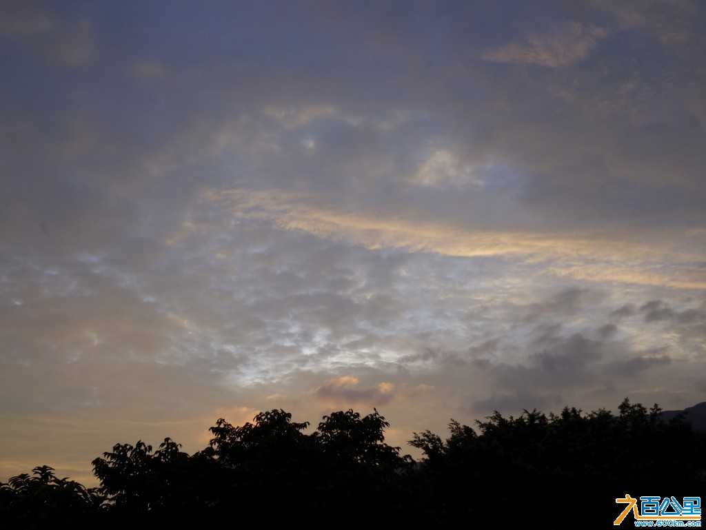 DSC0306-1.jpg