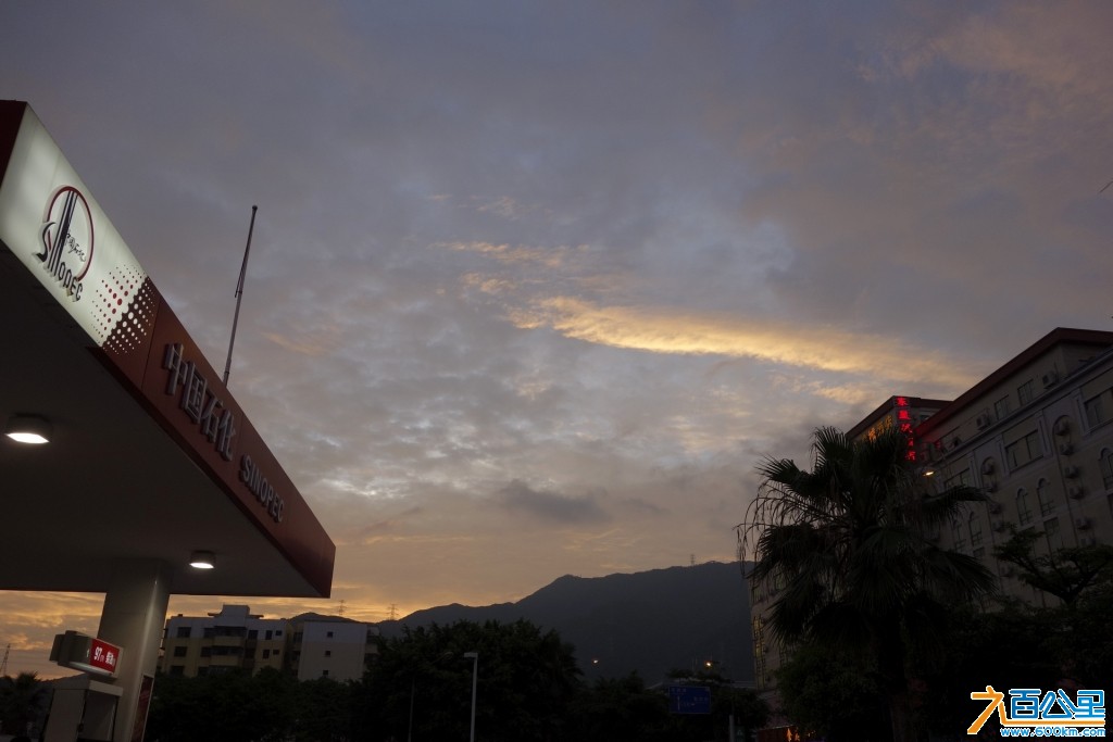 DSC0311-1.jpg
