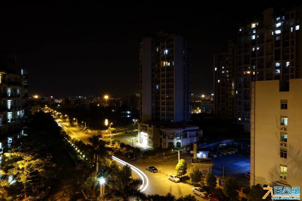 DSC0319-1.jpg