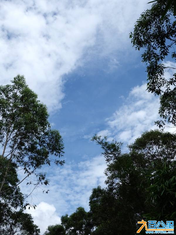 DSC00623-1.jpg