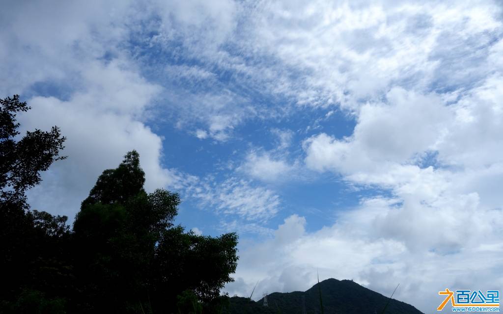 DSC00643-1.jpg