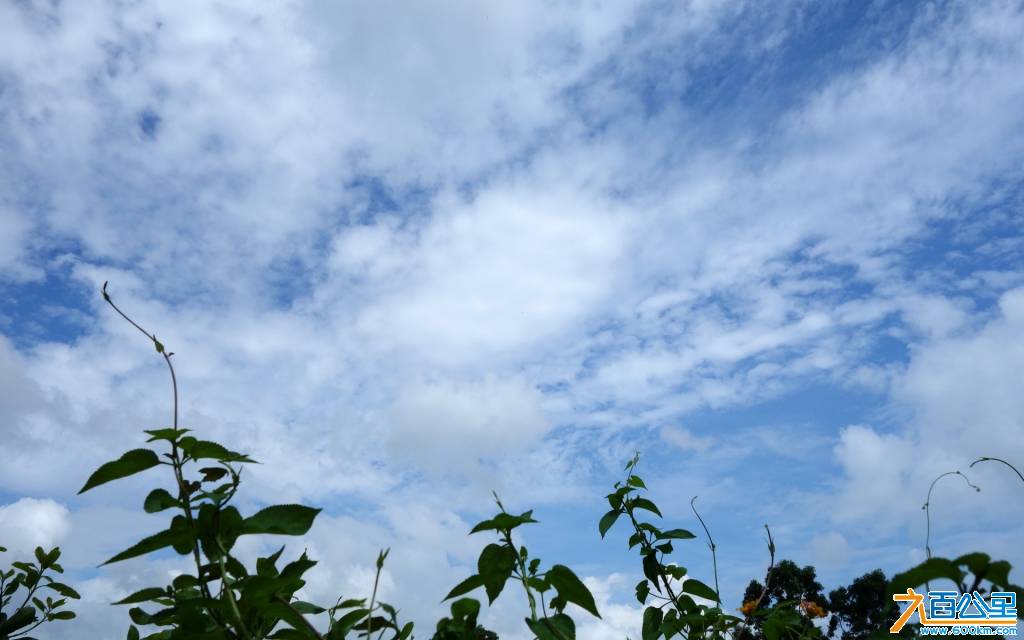 DSC00646-1.jpg