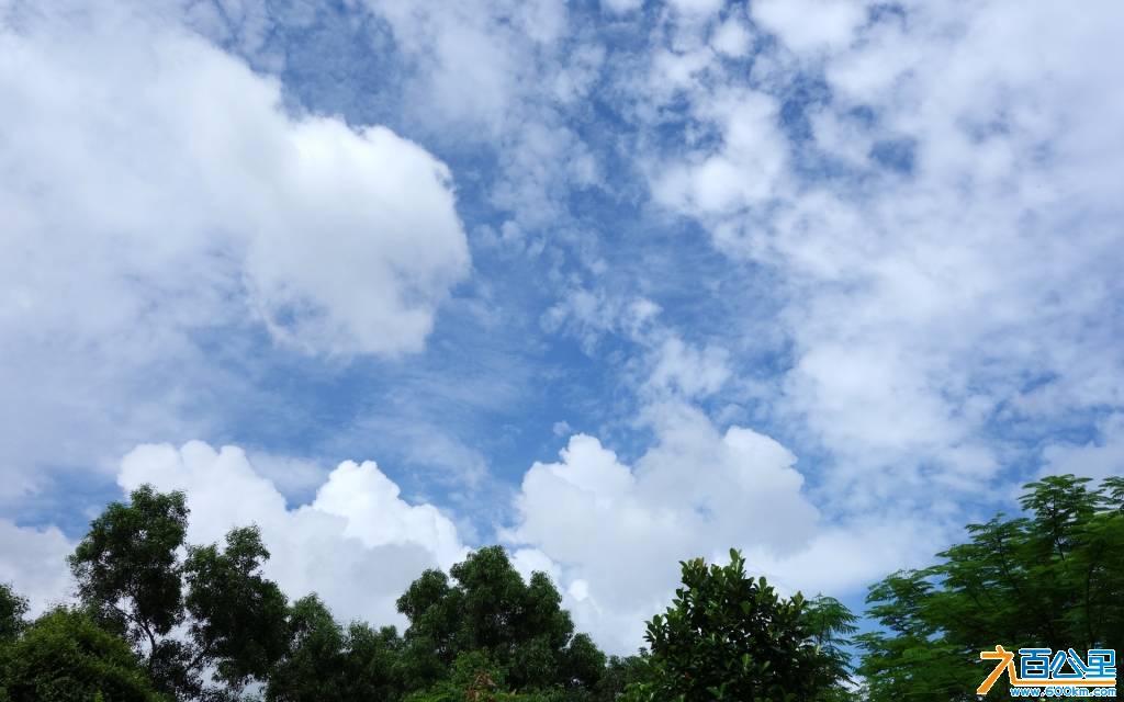 DSC00655-1.jpg