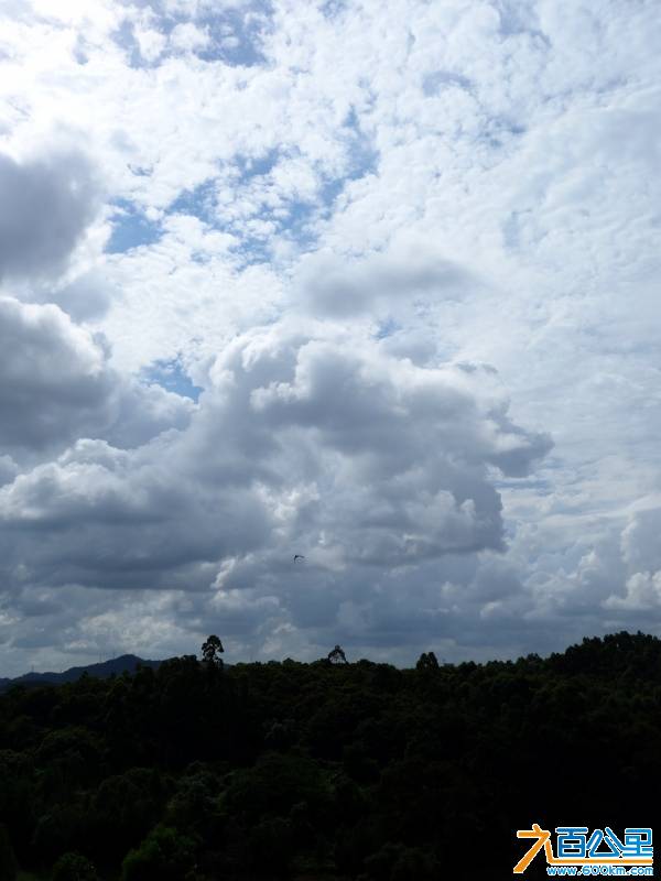 DSC00690-1.jpg