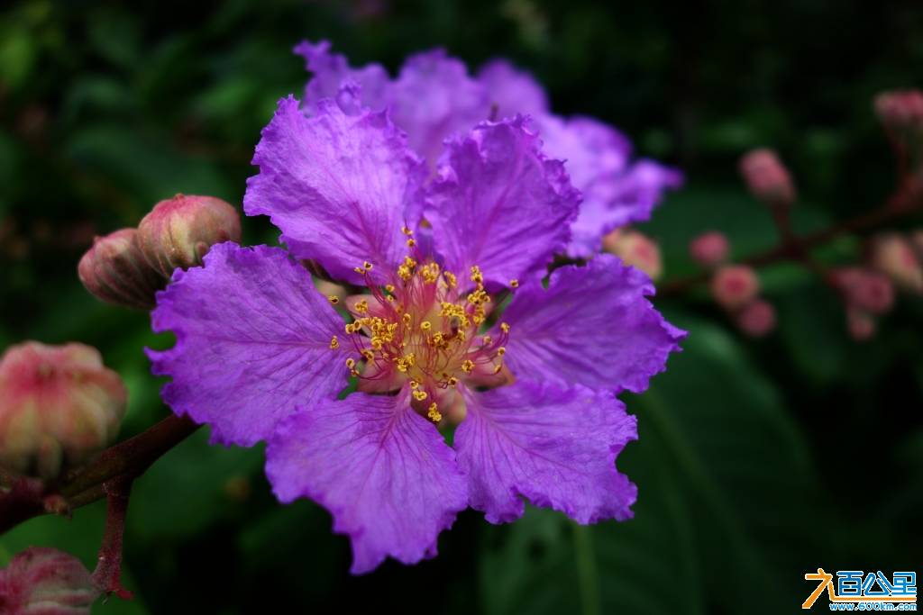 DSC00708-1.jpg