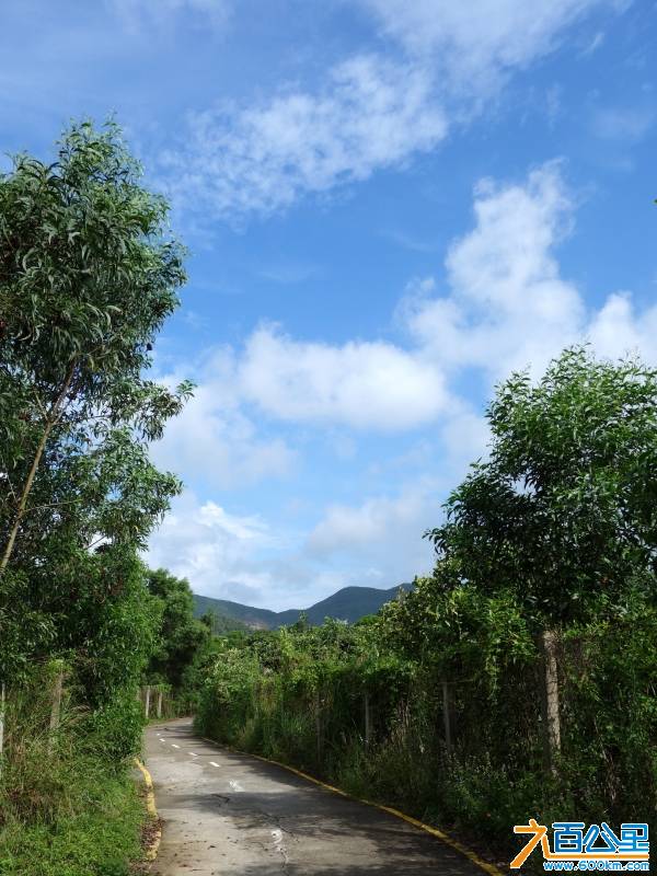 DSC00725-1.jpg