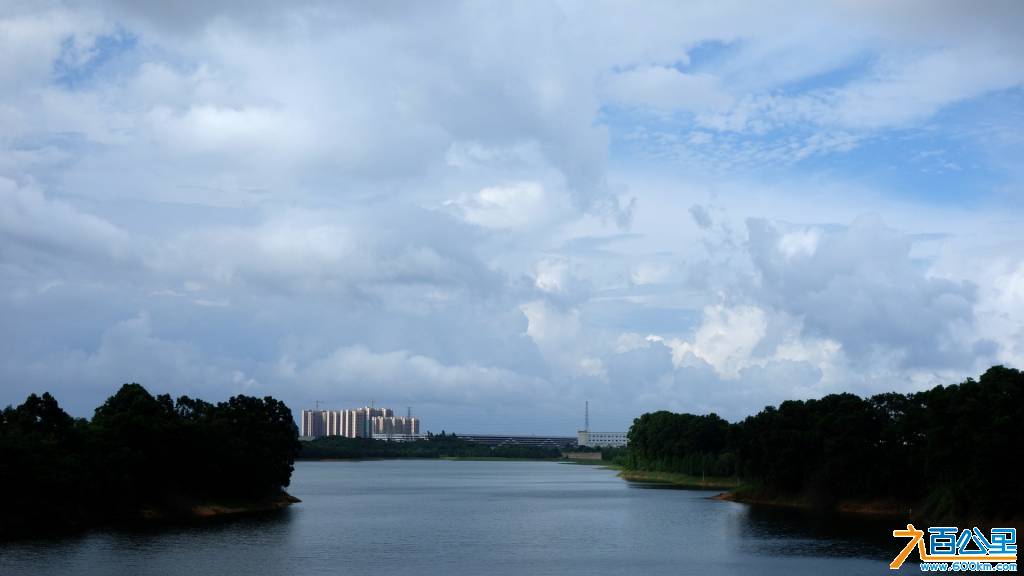 DSC00737-1.jpg