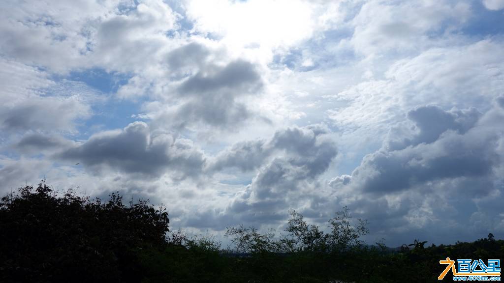 DSC00755-1.jpg