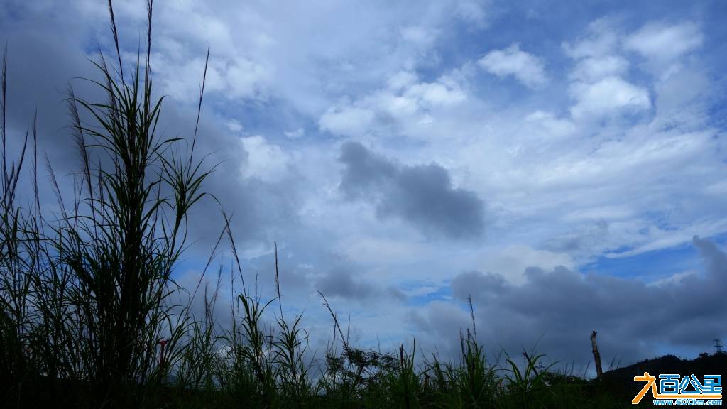 DSC00790-1.jpg