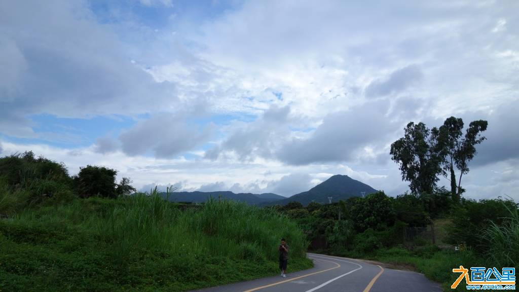 DSC00799-1.jpg