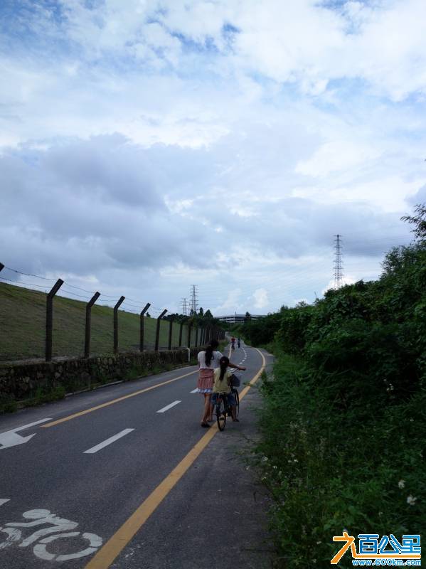 DSC00805-1.jpg