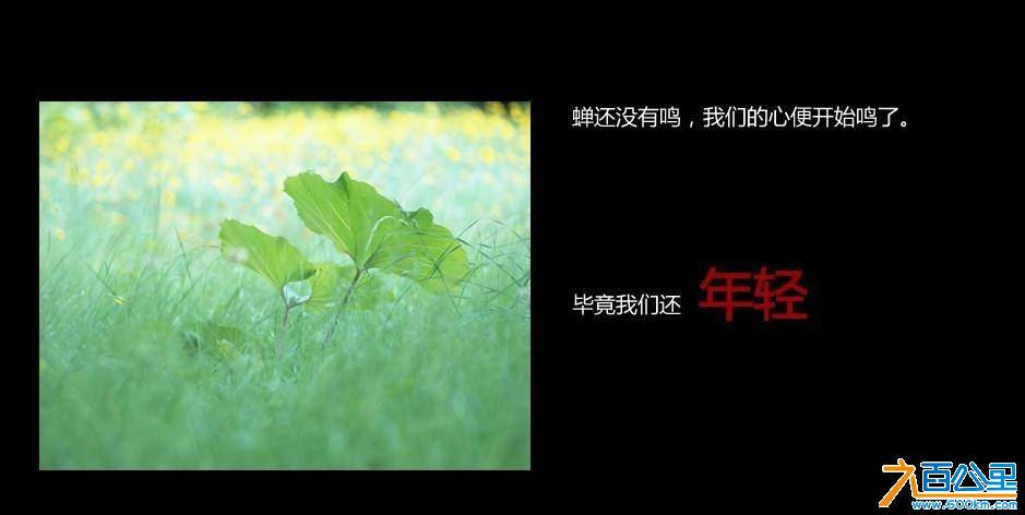 未来