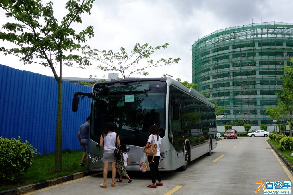 DSC01041-1.jpg