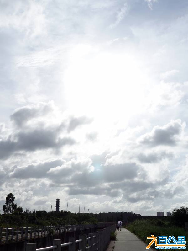 DSC01083-1.jpg