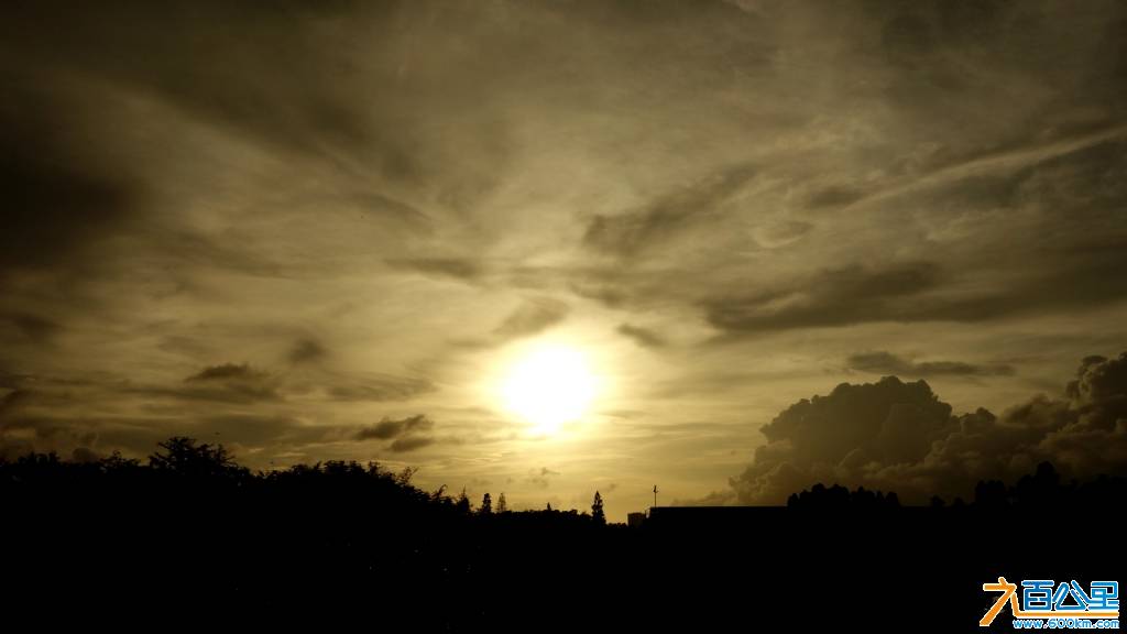 DSC01133-1.jpg