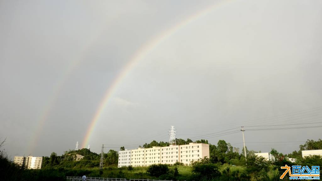 DSC01148-1.jpg