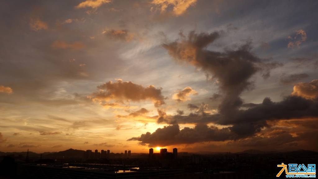 DSC01155-1.jpg