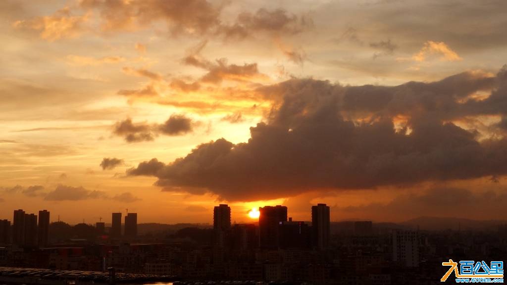 DSC01164-1.jpg