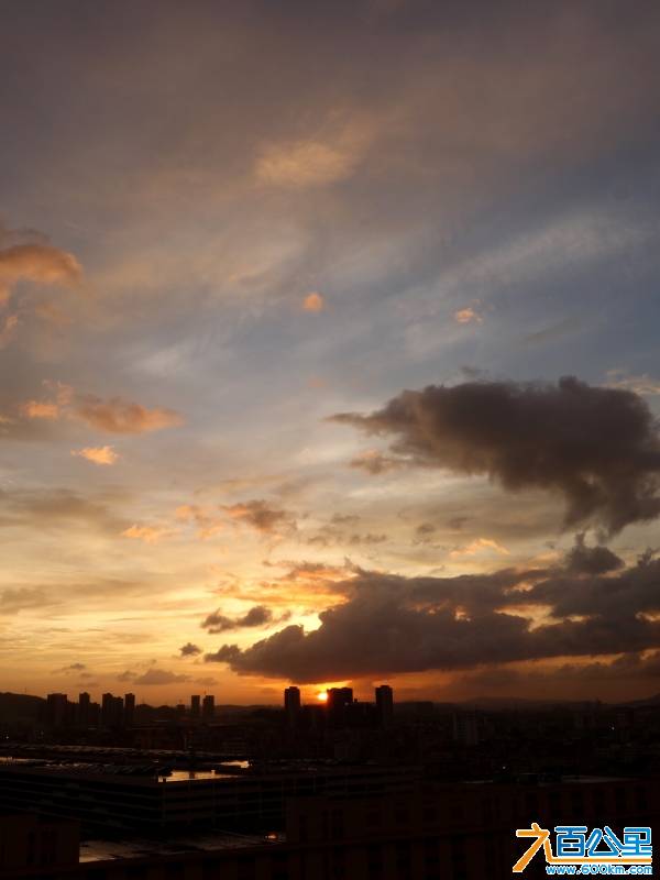 DSC01167-1.jpg