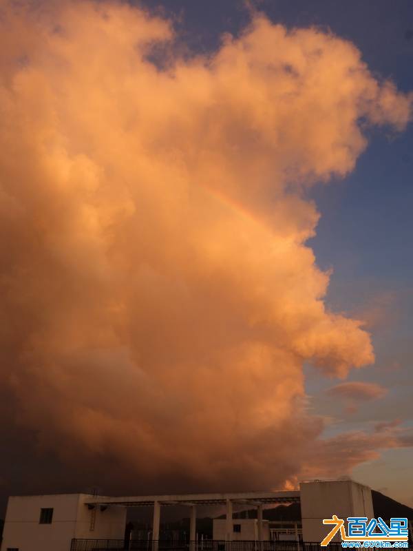 DSC01168-1.jpg