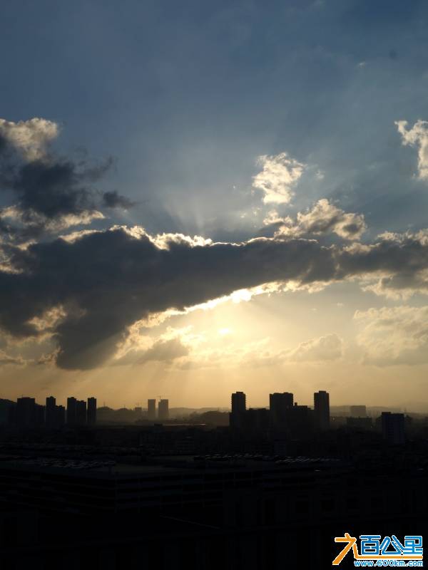 DSC01264-1.jpg