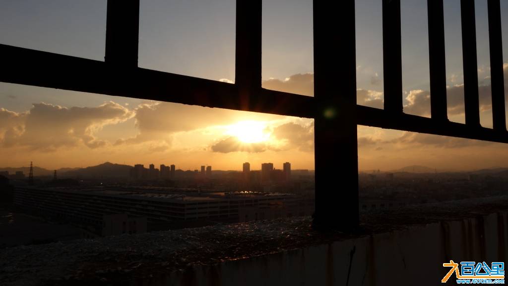 DSC01304-1.jpg