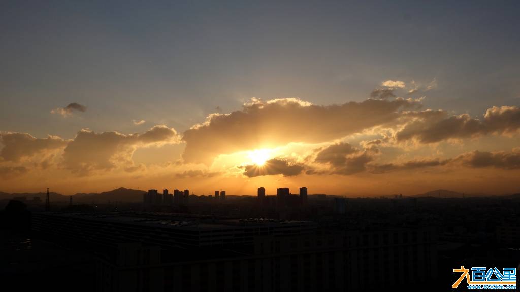 DSC01308-1.jpg