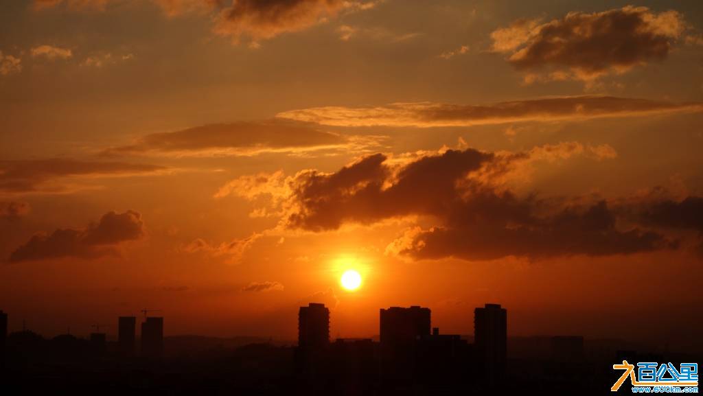 DSC01338-1.jpg
