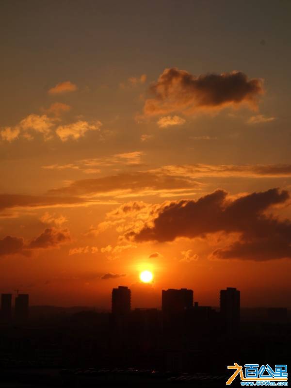 DSC01342-1.jpg