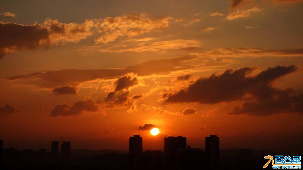 DSC01347-1.jpg