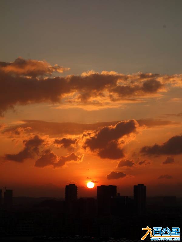 DSC01358-1.jpg