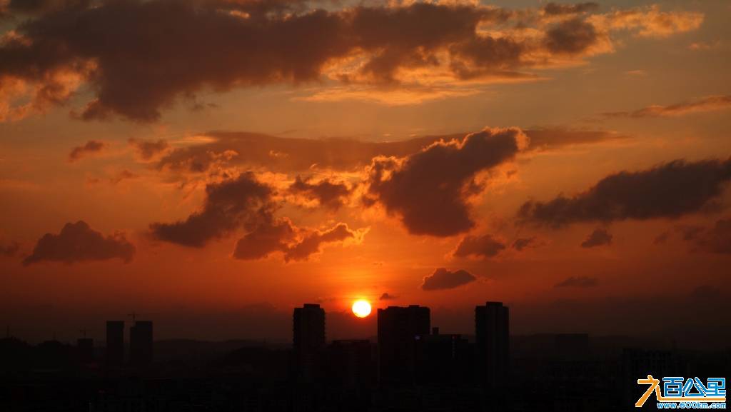 DSC01360-1.jpg