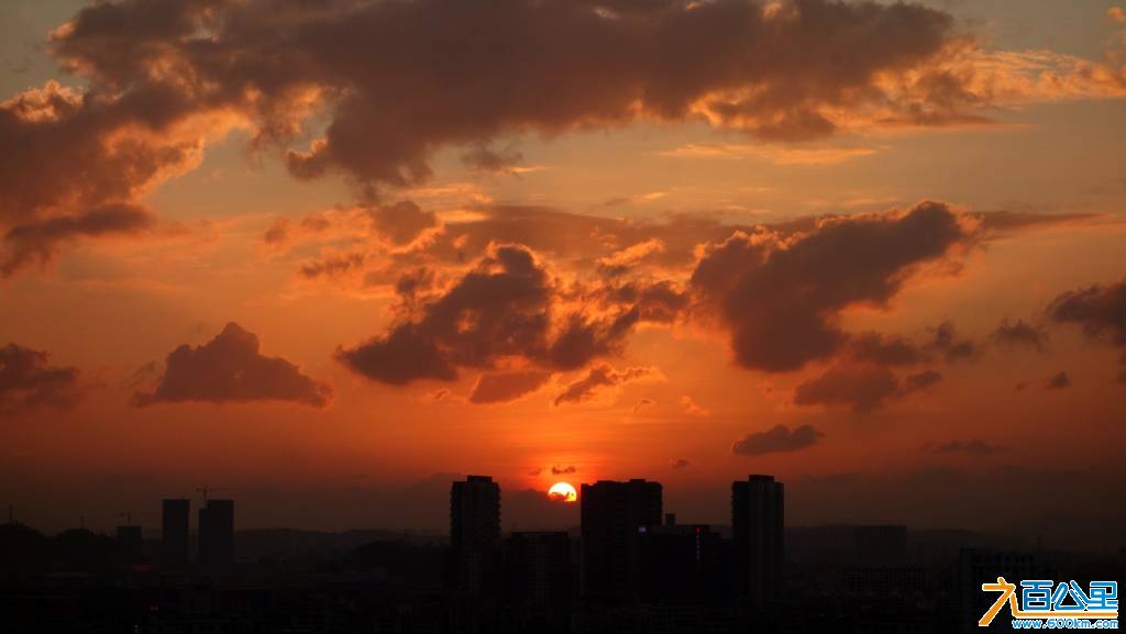 DSC01370-1.jpg