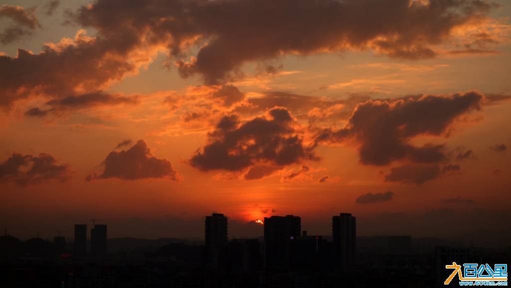 DSC01375-1.jpg