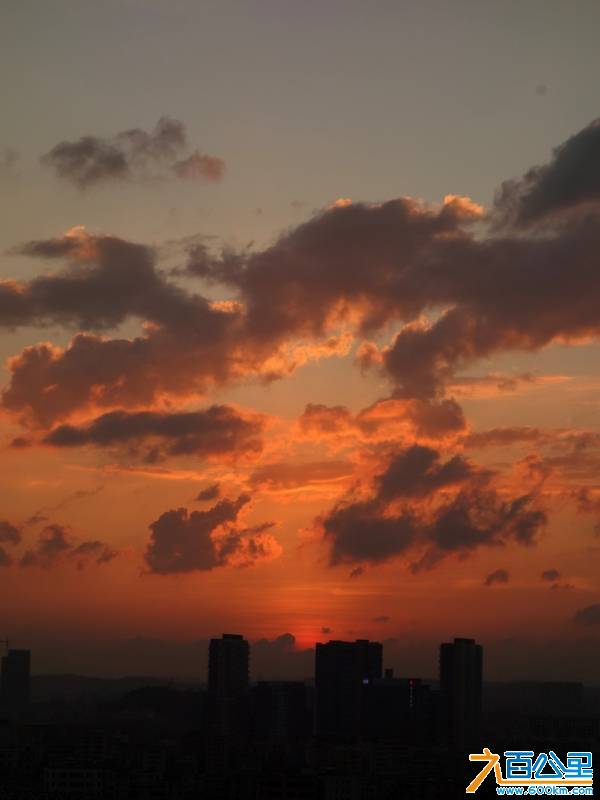 DSC01384-1.jpg