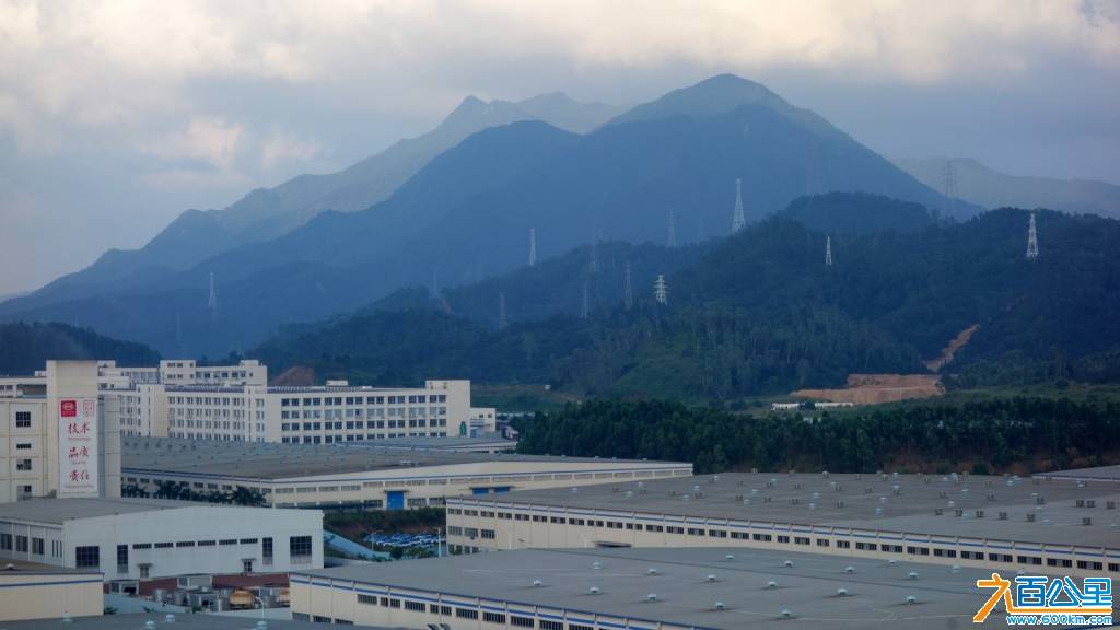 DSC01258-1.jpg
