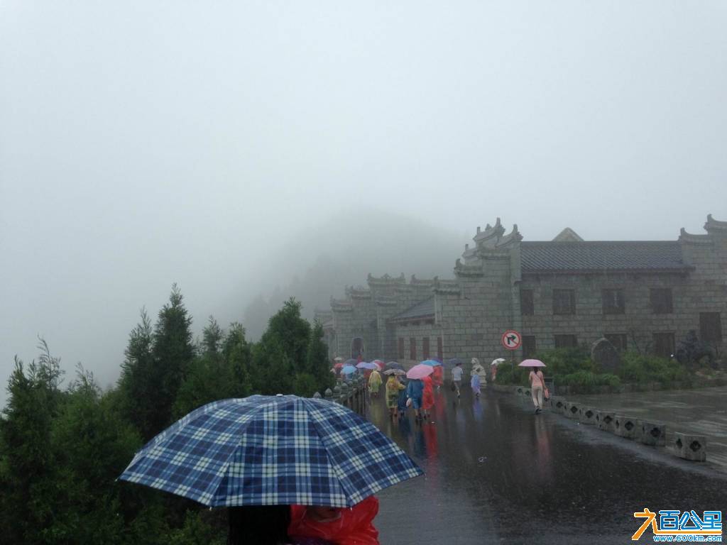 大雾雨中