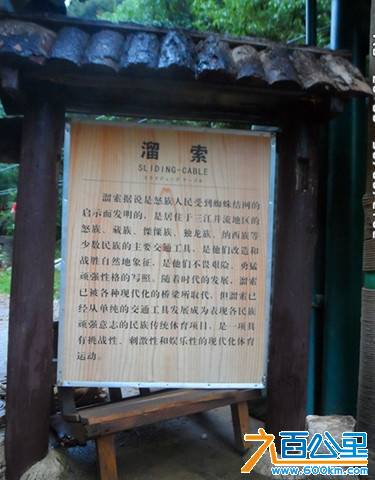 SAM_1373_副本.jpg