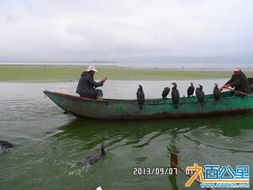 SAM_1579_副本.jpg